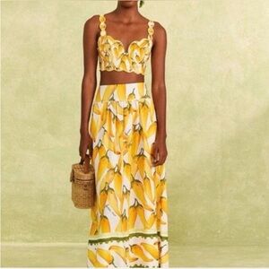 Farm Rio Peppers off Maxi skirt